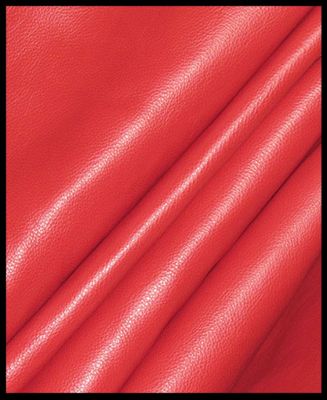 Fendi Red